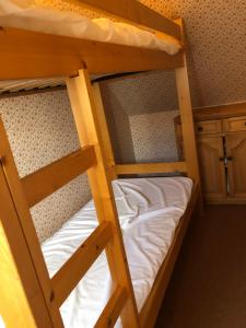 a bunk bed with a ladder on the bottom bunk at SUPER LIORAN LA MAISONETTE à 5 km de la station in Saint-Jacques-des-Blats +20 photos