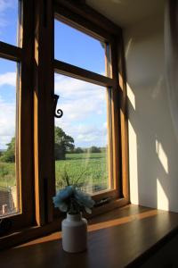 a vase with flowers on a window sill with a view at The Granary Self Catering Cottage in Shrewsbury