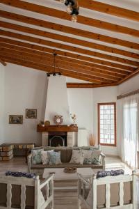 Kámpos的住宿－Villa Aelia，带沙发和壁炉的客厅
