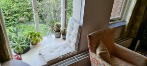 een kamer met een raam met planten en een stoel bij StudioRandijk in Nieuwegein