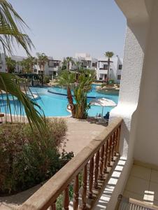 Fotografie z fotogalerie ubytování Family Room v destinaci Sharm El Sheikh