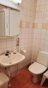 a bathroom with a toilet and a sink at Apartment Urupaa in Saariselka