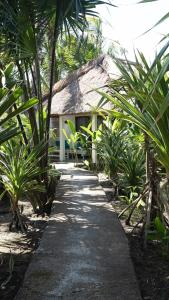 a path in front of a house with palm trees at Tiki Boutique Hotel Lombok in Selong Belanak