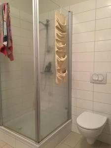 La salle de bains est pourvue d'une douche et de toilettes. dans l'établissement Bright beautiful flat on hilltop w hot tub, à Hafnarfjörður