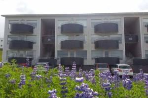 a parking lot with purple flowers in front of a building at Bright beautiful flat on hilltop w hot tub in Hafnarfjördur
