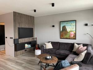 ein Wohnzimmer mit einem Sofa und einem TV in der Unterkunft Bright beautiful flat on hilltop w hot tub in Hafnarfjördur