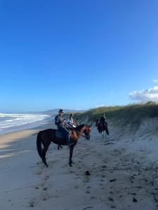 a group of people riding horses on the beach at Pousada Dazaranha in Florianópolis