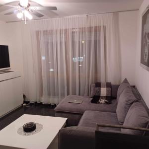 a living room with a couch and a table at Apartment, Messe 5 min., City 3 min., wifi in Nuremberg