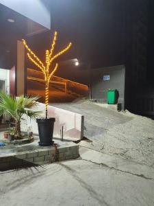 a tree with lights on it in a parking lot at YEMMA GOURAYA LOFT in Bejaïa