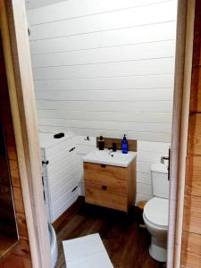 a bathroom with a toilet and a sink at Chatka pod lasem in Jarnołtówek