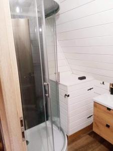 een badkamer met een douche, een toilet en een wastafel bij Chatka pod lasem in Jarnołtówek