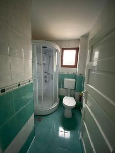 La salle de bains verte est pourvue de toilettes et d'une douche. dans l'établissement Casă de vacanță în zona montană, à Sântimbru-Băi