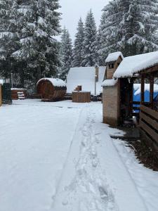 a snow covered yard with a house and trees at Casă de vacanță în zona montană in Sântimbru-Băi