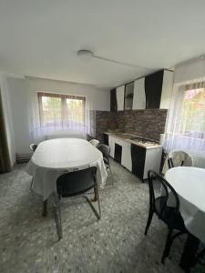 eine Küche mit einem Tisch und Stühlen im Zimmer in der Unterkunft Casă de vacanță în zona montană in Sântimbru-Băi