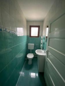 a green bathroom with a toilet and a sink at Casă de vacanță în zona montană in Sântimbru-Băi