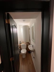 een kleine badkamer met een toilet en een wastafel bij Résidence du moulin 2E Grand Appartement complet 2 lits Double et canapé lit in Boussu