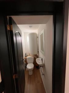 La petite salle de bains est pourvue de toilettes et d'un lavabo. dans l'établissement Résidence du moulin 2E Grand Appartement complet 2 lits Double et canapé lit, à Boussu