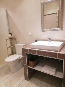 y baño con lavabo, aseo y espejo. en Villa séduisante et charmante, en Castillon-du-Gard