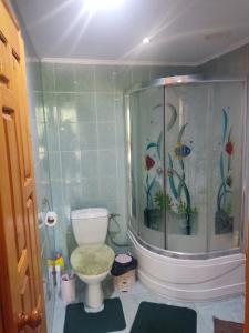 ein Bad mit einem WC und einer Dusche mit Fisch an der Wand in der Unterkunft Borgaza in Jaremtsche