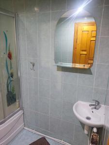 ein Bad mit einem Waschbecken und einem Spiegel in der Unterkunft Borgaza in Jaremtsche