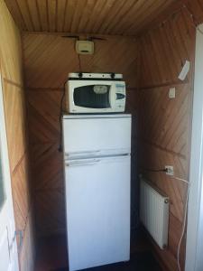 a microwave sitting on top of a refrigerator in a trailer at Borgaza in Yaremche