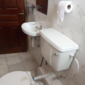 a bathroom with a toilet and a sink at Milly's homes in Kakamega