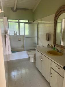 a bathroom with a toilet and a tub and a sink at Famili Villa in Old Towne