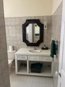 a bathroom with a sink and a mirror at Famili Villa in Old Towne