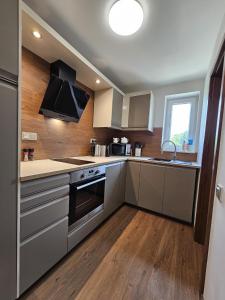 a kitchen with stainless steel appliances and wooden floors at Apartmán U Labe in Nymburk