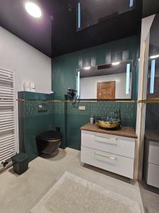 Koupelna v ubytování Apartmán U Labe