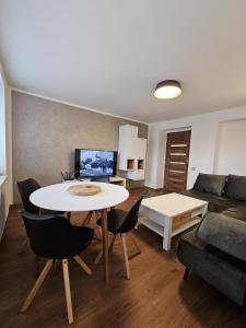 TV a/nebo společenská místnost v ubytování Apartmán U Labe