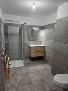 ein Bad mit einer Dusche, einem WC und einem Waschbecken in der Unterkunft Appartement neuf, rez-de-jardin in Lucciana