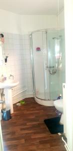 ein Bad mit einer Dusche, einem Waschbecken und einem WC in der Unterkunft Ema apartment in London