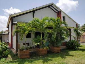 ein Haus mit zwei Palmen davor in der Unterkunft Belle Villa au cœur de la Gwada in Le Gosier