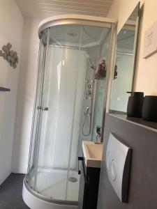 y baño con ducha y lavamanos. en Casa Romano, en Lüneburg