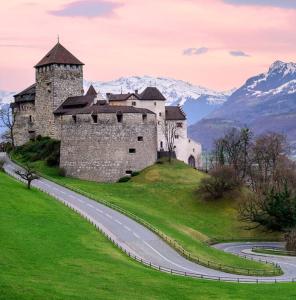 a castle on top of a hill with a road at Zimmer in Vaduz FL in Vaduz