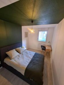 1 dormitorio con 1 cama grande y pared verde en Les Capucins - Centre ville - Parking inclus en Belfort