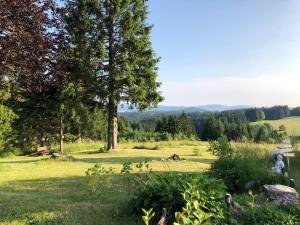 Příroda nedaleko bed and breakfast