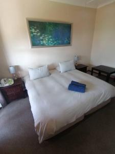 a large white bed with a blue pillow on it at Redberry Guest House in Mbabane +20 photos