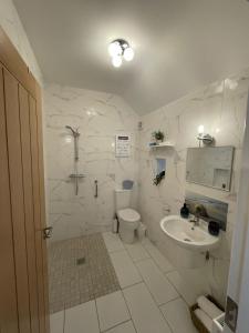 Baño blanco con aseo y lavamanos en Toddys Hideaway, en Cavan