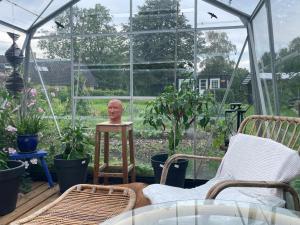 un homme assis dans une serre avec des plantes dans l'établissement Værelser i historisk hus med sjæl og atmosfære, à Helsinge