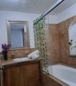 La salle de bains est pourvue d'une douche, d'un lavabo et d'une baignoire. dans l'établissement Hermosa casa en Cuernavaca cerca de los mejores restaurantes y plazas, à Cuernavaca