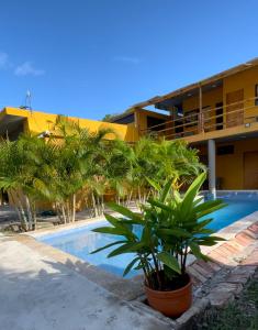 a swimming pool with palm trees in front of a building at Casa Indica Colombia in Girardot
