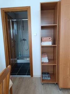 a bathroom with a shower and a walk in closet at Pod Modrzewiami in Milówka