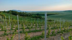 Φυσικό τοπίο κοντά σε αυτό το διαμέρισμα +6 φωτογραφίες