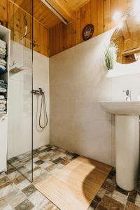 a bathroom with a shower and a sink at Forest Garden & House in Izvoare +4 photos