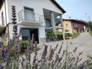 a garden with purple flowers in front of a house at Ca' dei Vescu - villetta per vacanze in Demonte