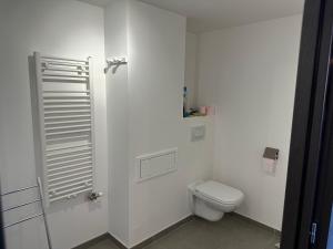 a white bathroom with a toilet and a shower at A la belle quatrième étoile in Annecy