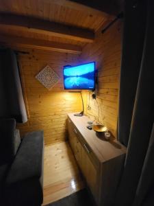 TV a/nebo společenská místnost v ubytování Vikendica-chalet-Nišici