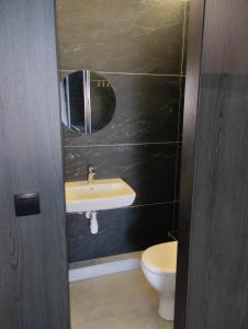 y baño con lavabo y aseo. en Номер-студіо "Міні Феофанія" Заболотного 148, Кришталеві Джерела, лікарня, пораненим воїнам -10", en Kiev